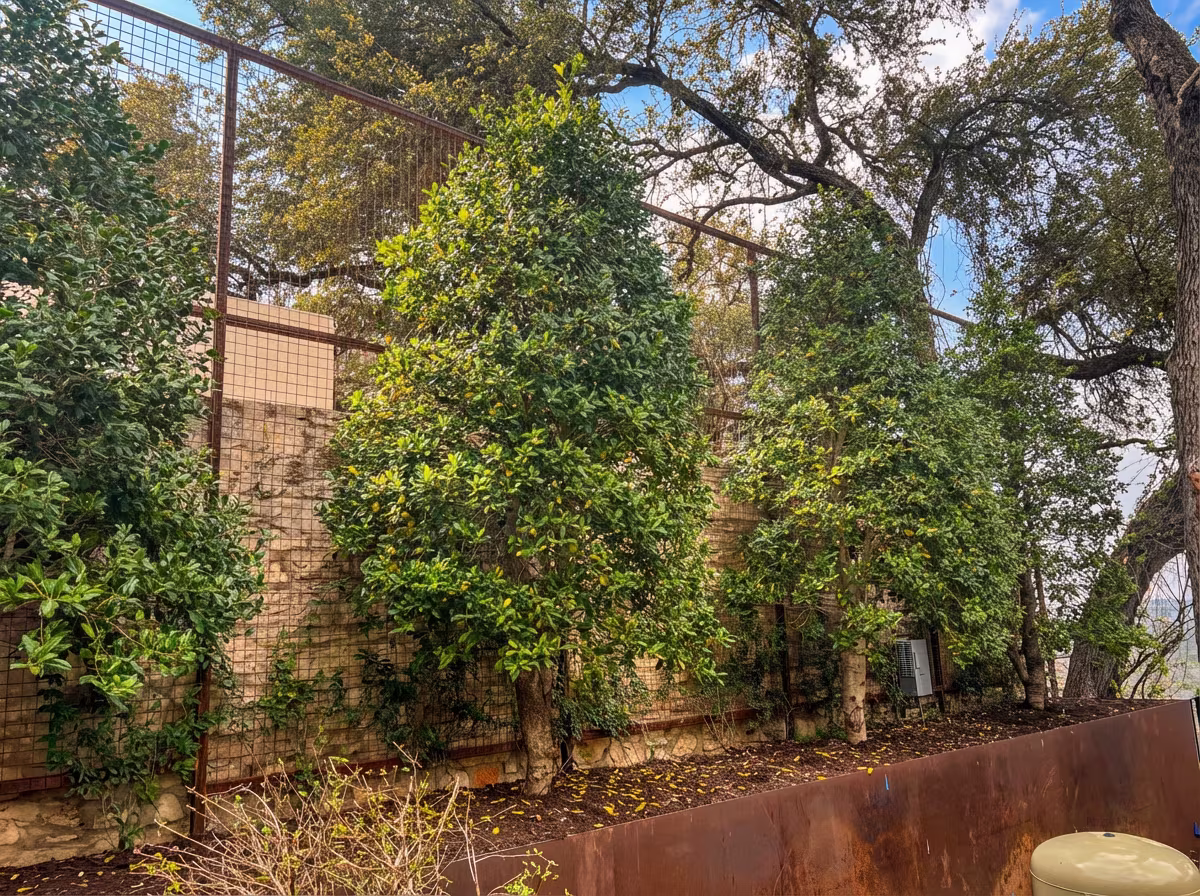 Austin high-end residential privacy